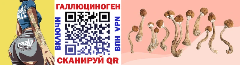Купить где  Нефтекумск  Галлюциногенные грибы ЛСД 