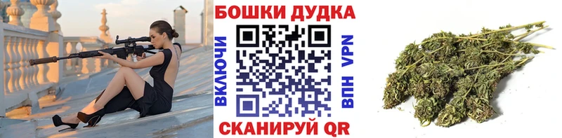 Купить  Нефтекумск  Каннабис сатива 